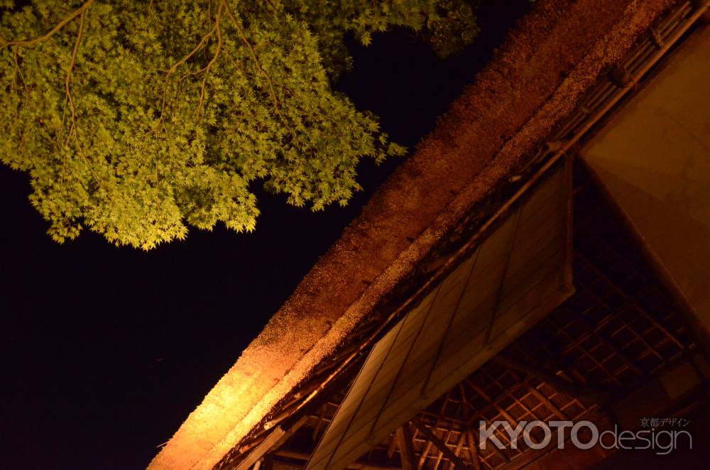 高台寺 夜間ライトアップ　時雨亭(060807c)