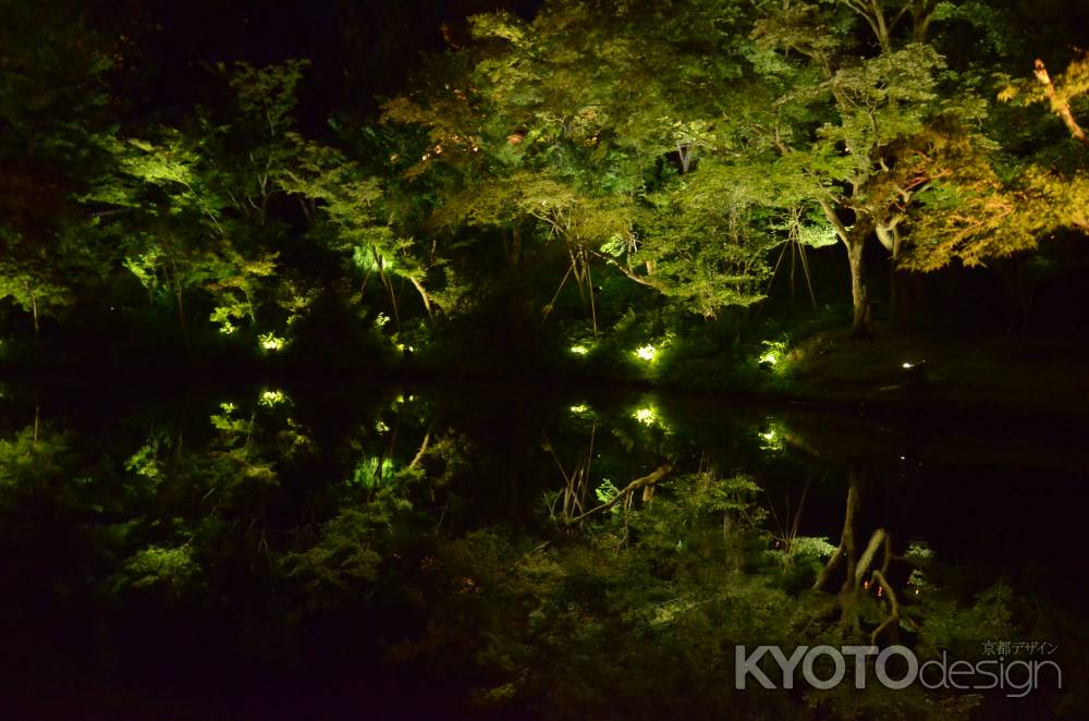 高台寺 夜間ライトアップ　臥龍池(060807b)