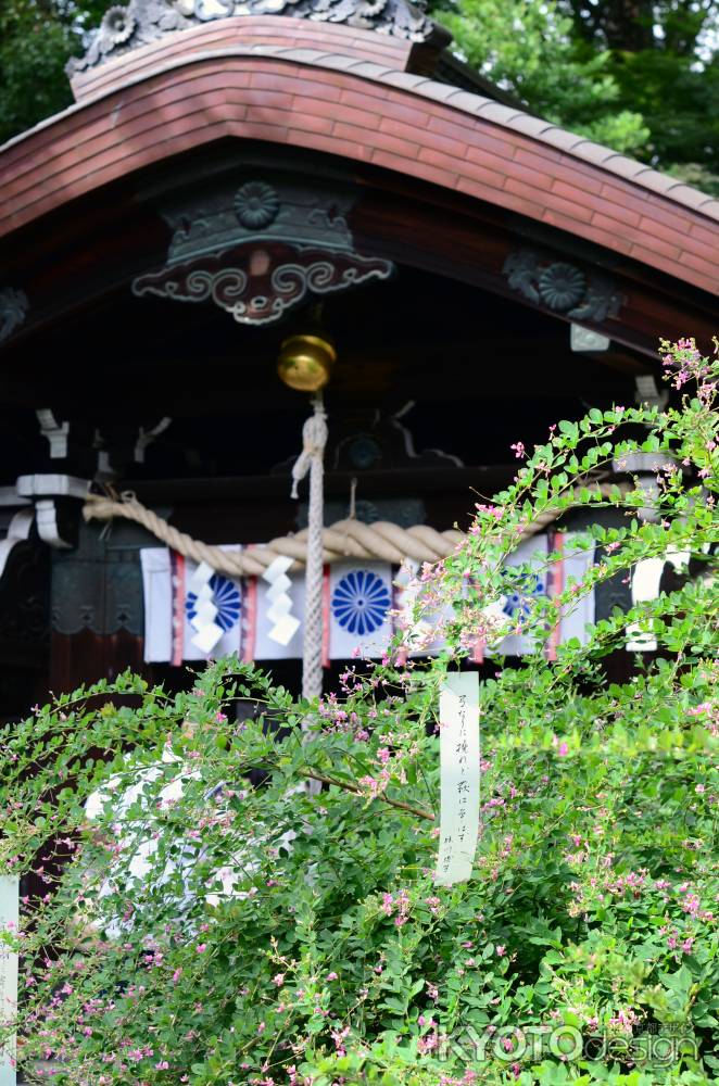 梨木神社　萩まつり(160917e)