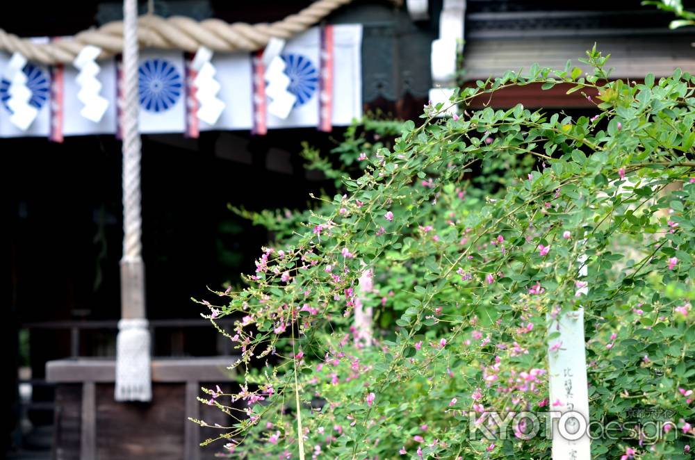 梨木神社　萩まつり(160917f)