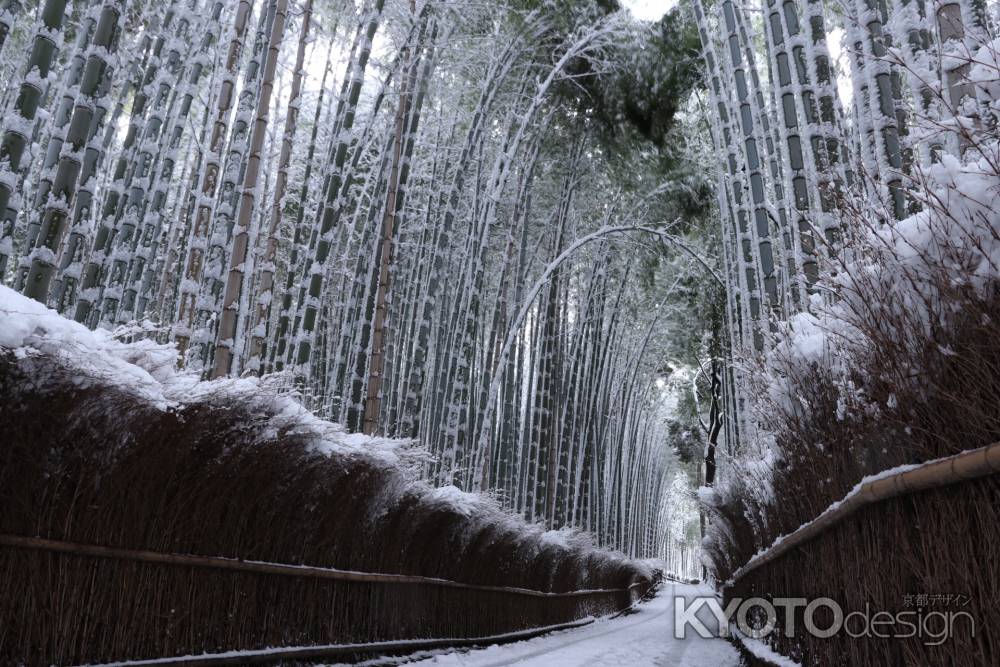 雪竹林