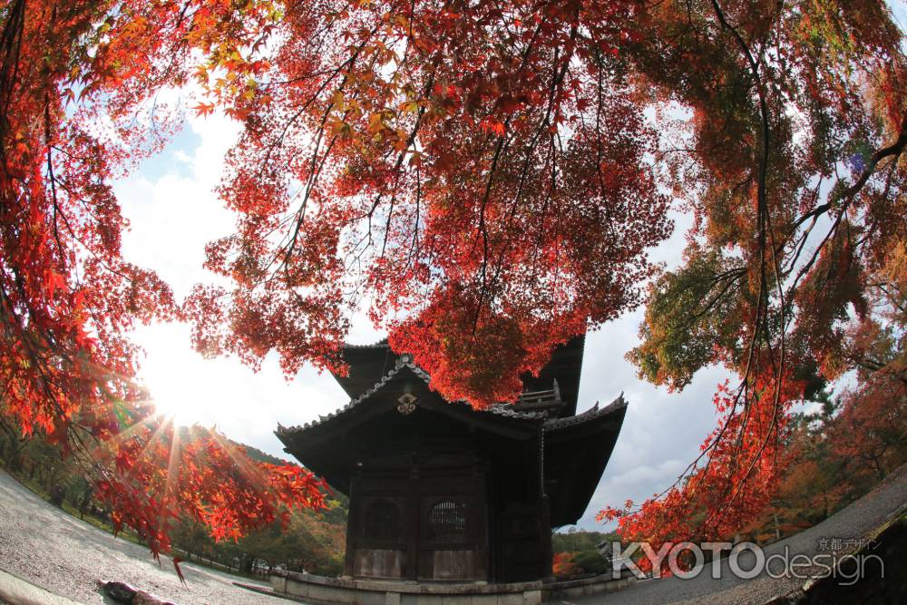 紅葉+南禅寺