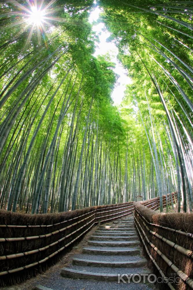 あだし野念仏寺