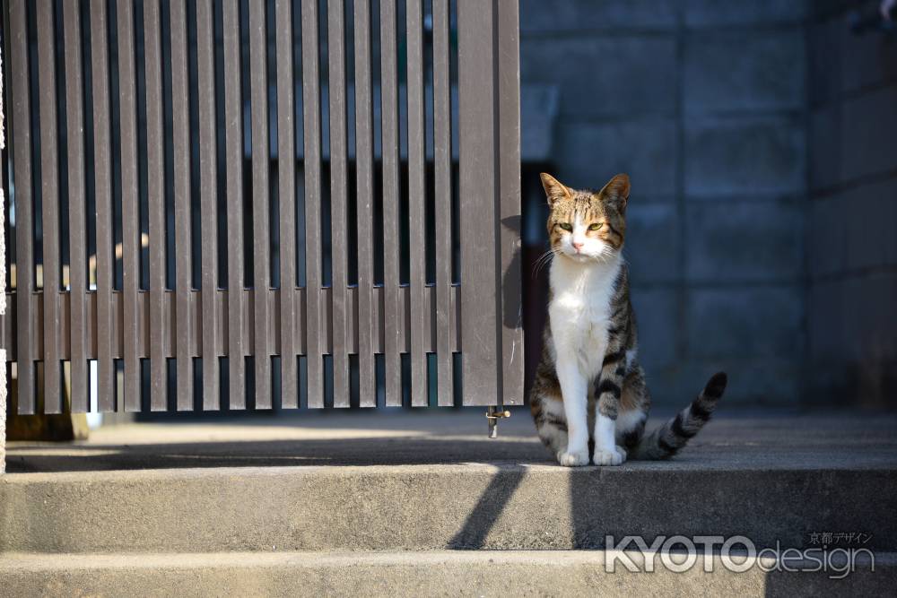 かえってこないなぁ