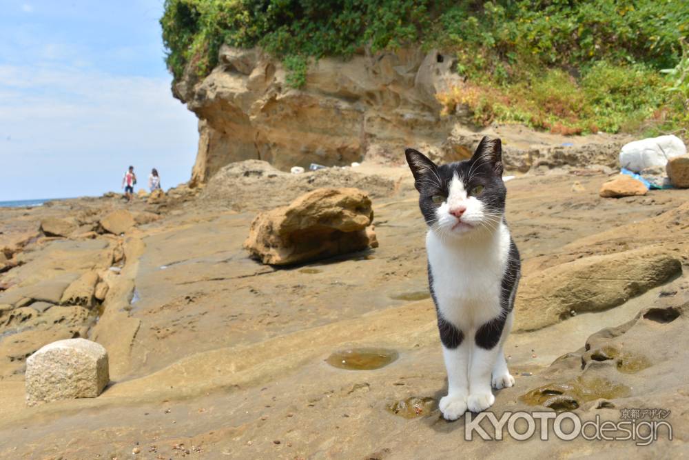 海辺での訴え