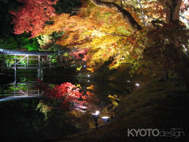 高台寺 色鮮やかなライトアップ