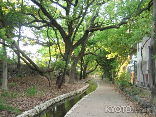 堀川の道