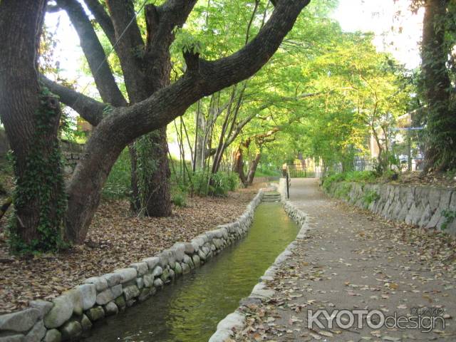 堀川の道