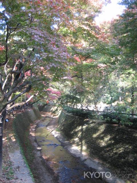 秋の北野天満宮