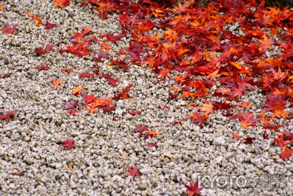 相国寺/紅葉