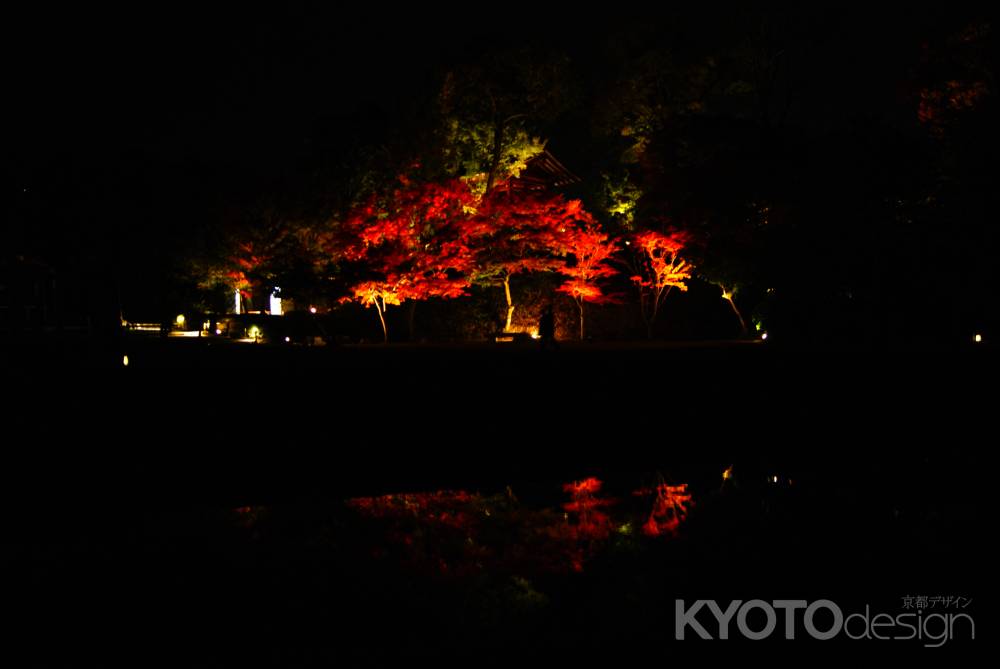 平等院夜間特別拝観3