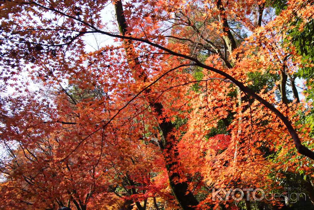 北野天満宮１４