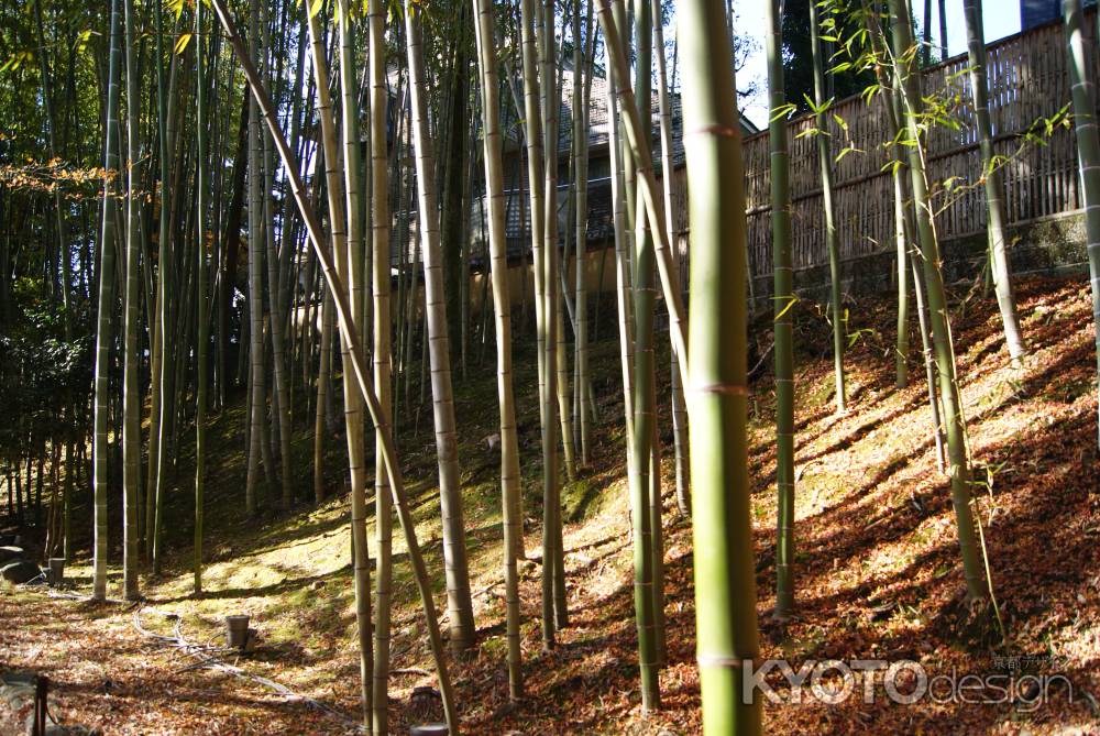 北野天満宮１６