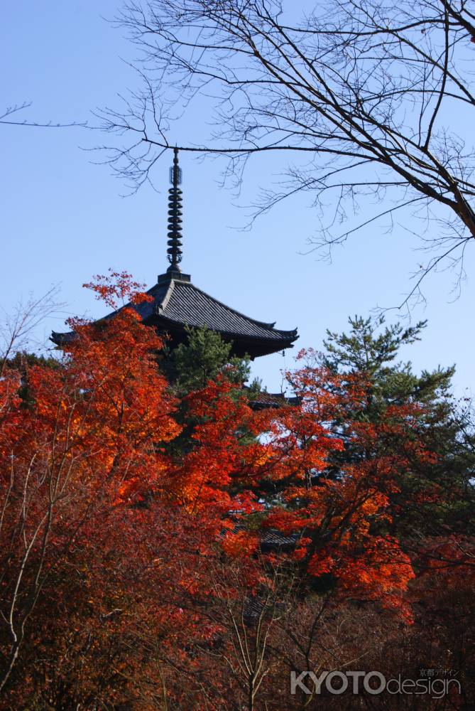 仁和寺４