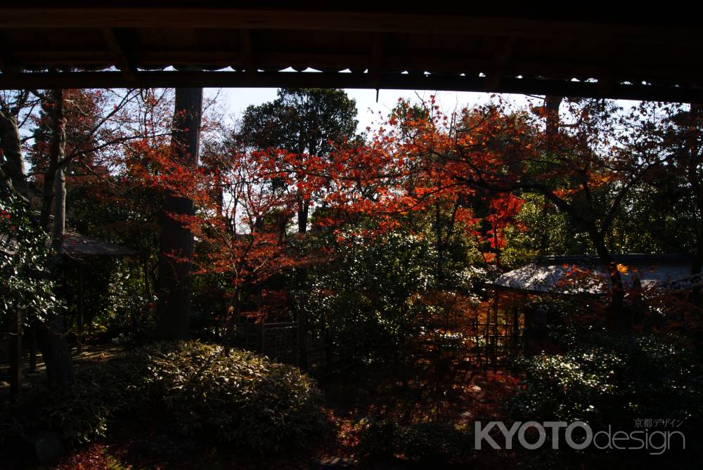 妙心寺大法院３