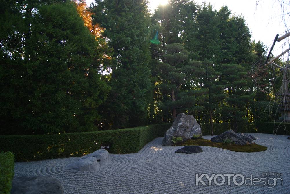 妙心寺退蔵院１