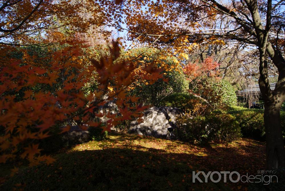 妙心寺退蔵院２