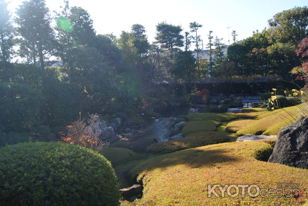 妙心寺退蔵院３