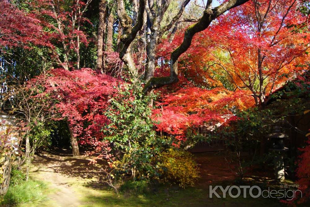 妙心寺退蔵院５