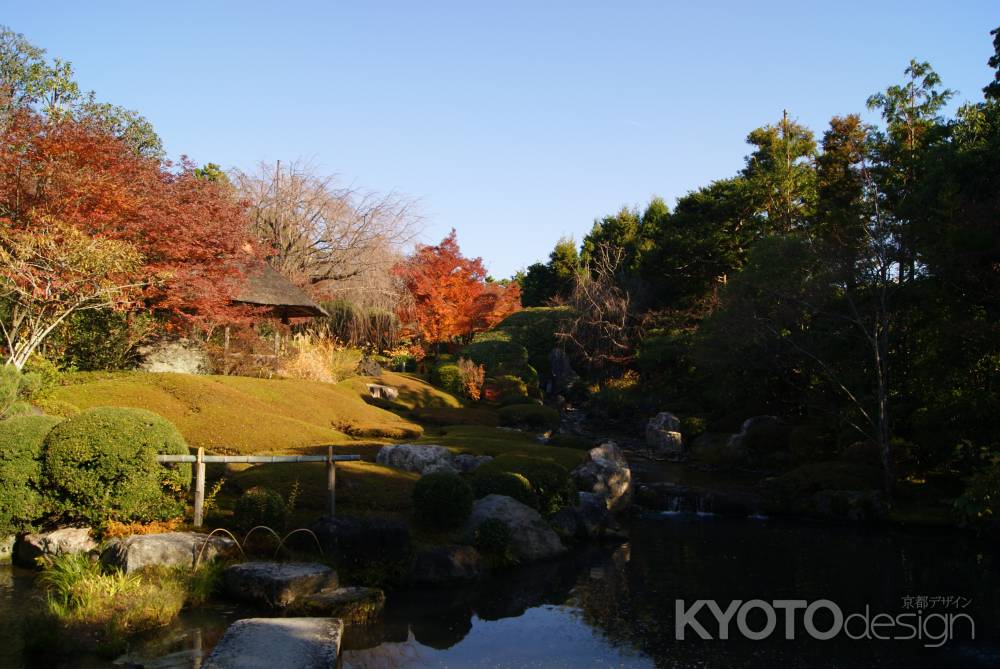 妙心寺退蔵院７