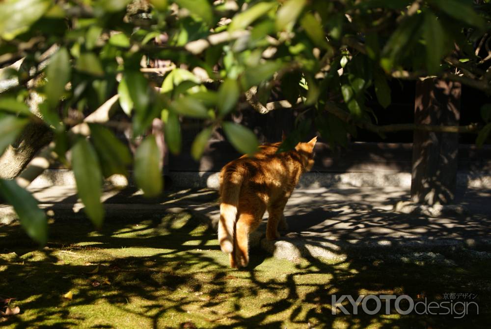 妙心寺桂春院２