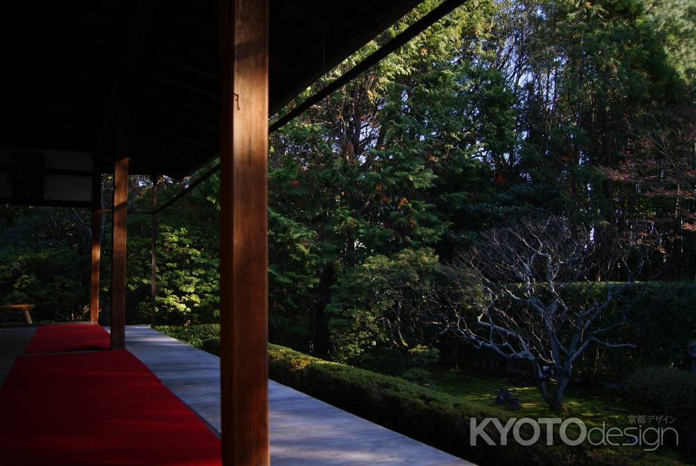 妙心寺桂春院４