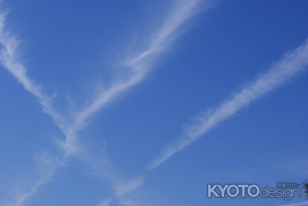 仁和寺の飛行機雲