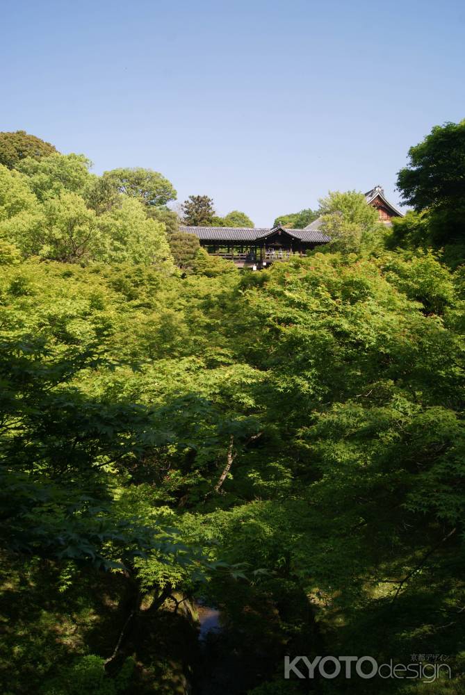 東福寺3