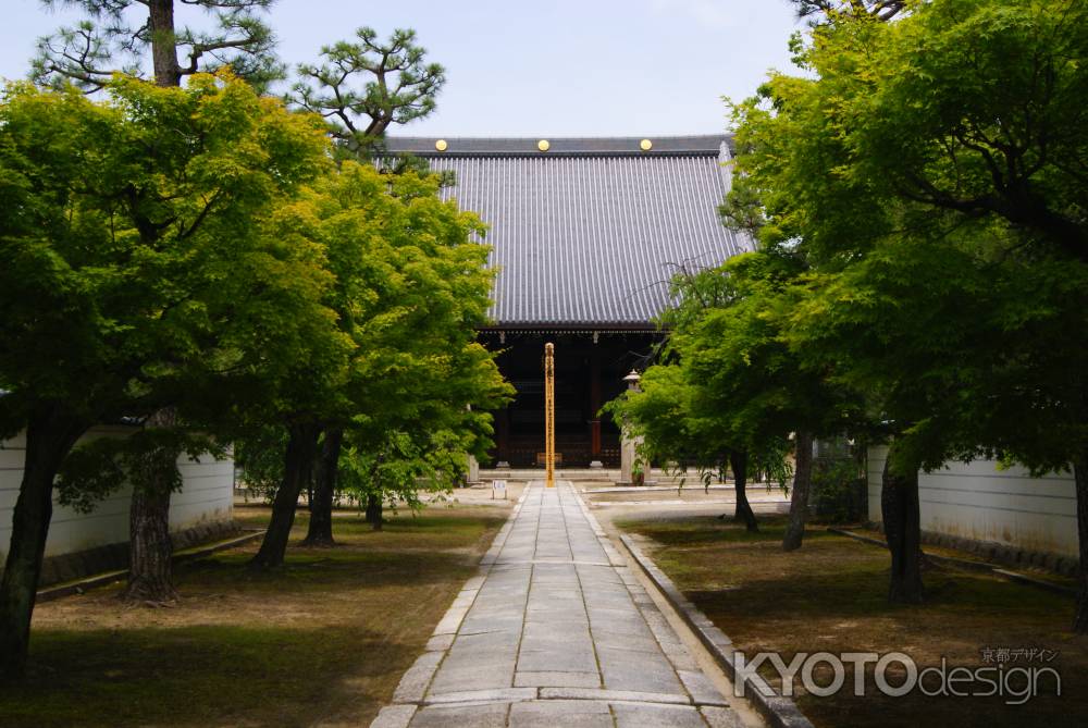 妙顕寺　本堂へ