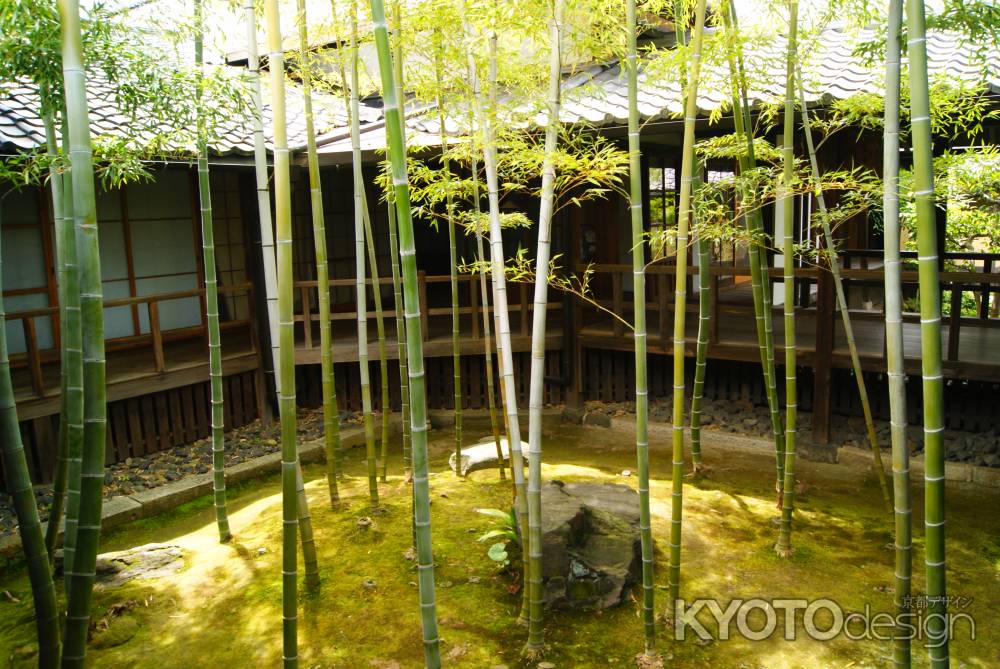 妙顕寺　竹林の庭