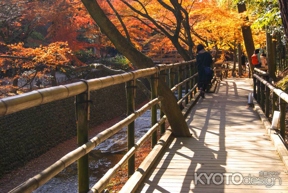 紙屋川　紅葉散歩