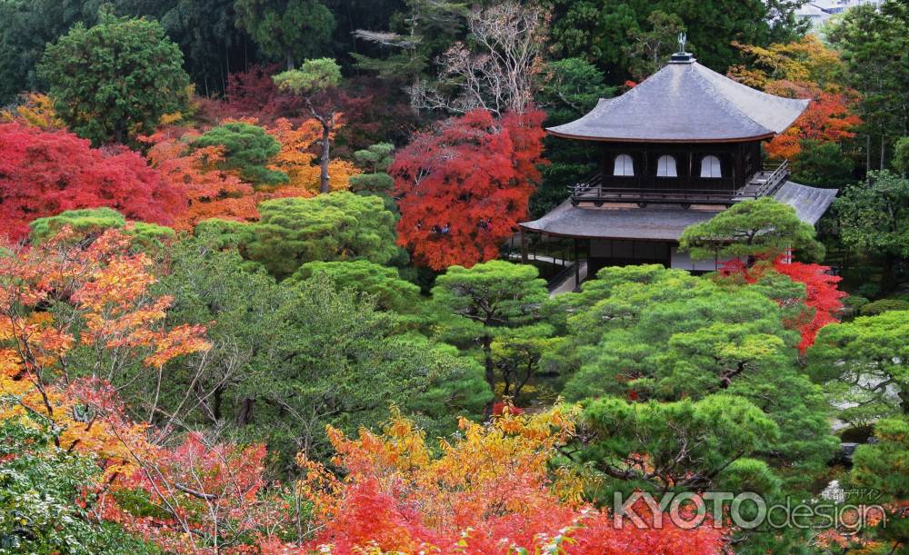 紅葉＠東山慈照寺観音堂