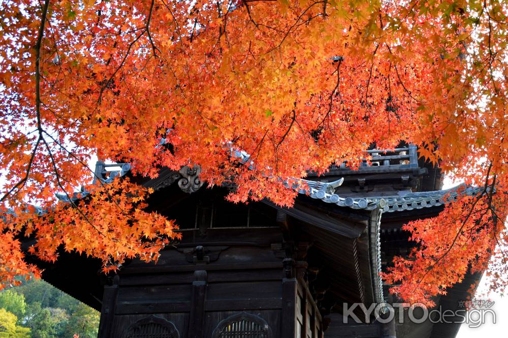 紅葉山門①