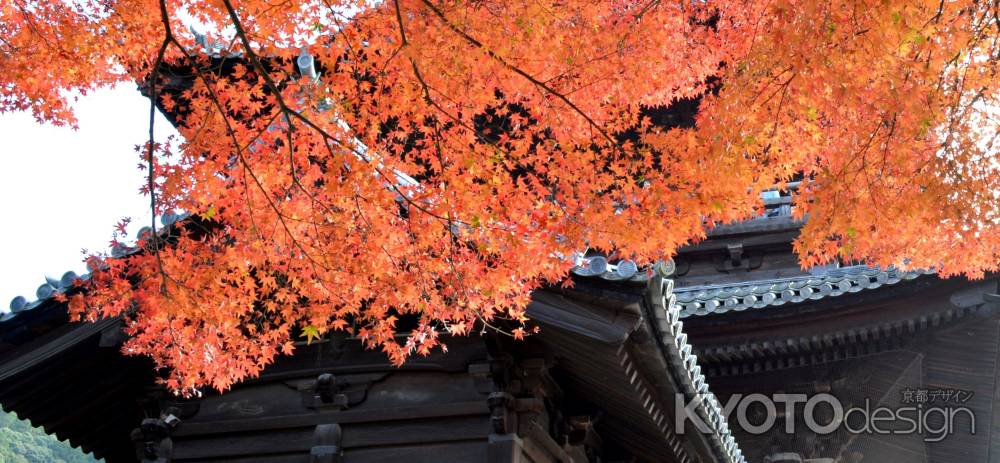 紅葉山門②