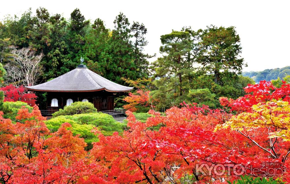 銀閣寺紅葉2014②