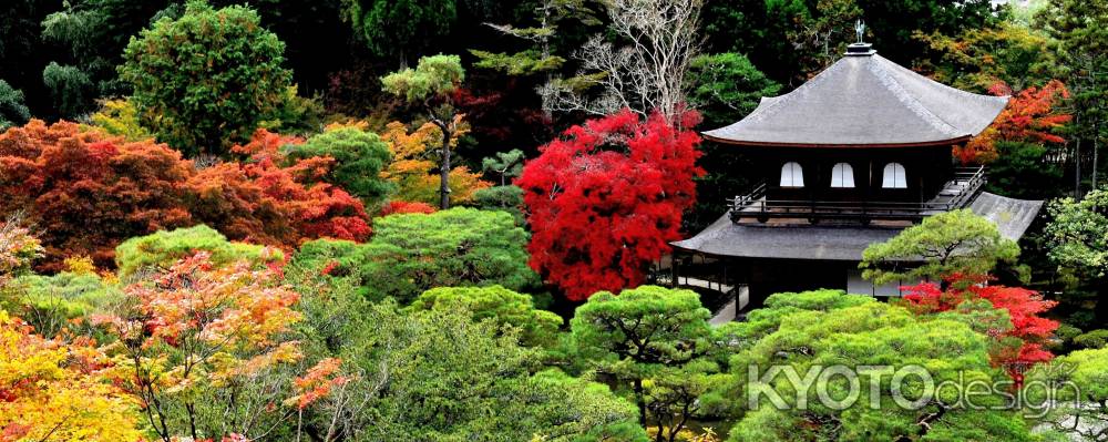 銀閣寺紅葉2014③