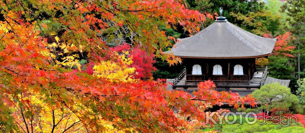 銀閣寺紅葉2014④