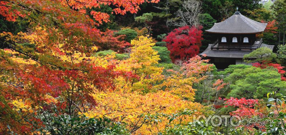 銀閣寺紅葉2014⑥