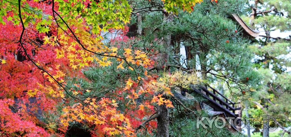 銀閣寺紅葉2014