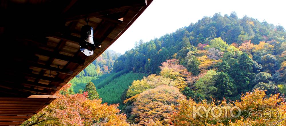 高山寺紅葉2013①