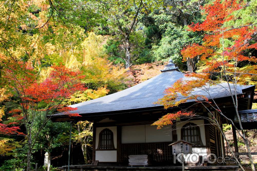 高山寺紅葉2013⑥