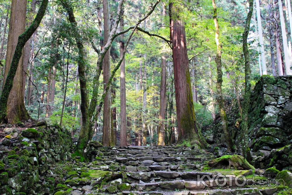 高山寺紅葉2013⑦