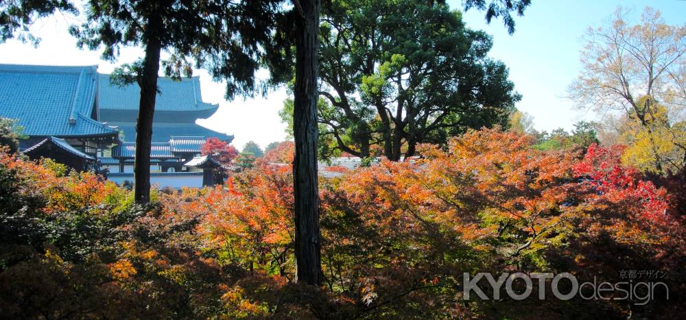 東福寺紅葉2013③