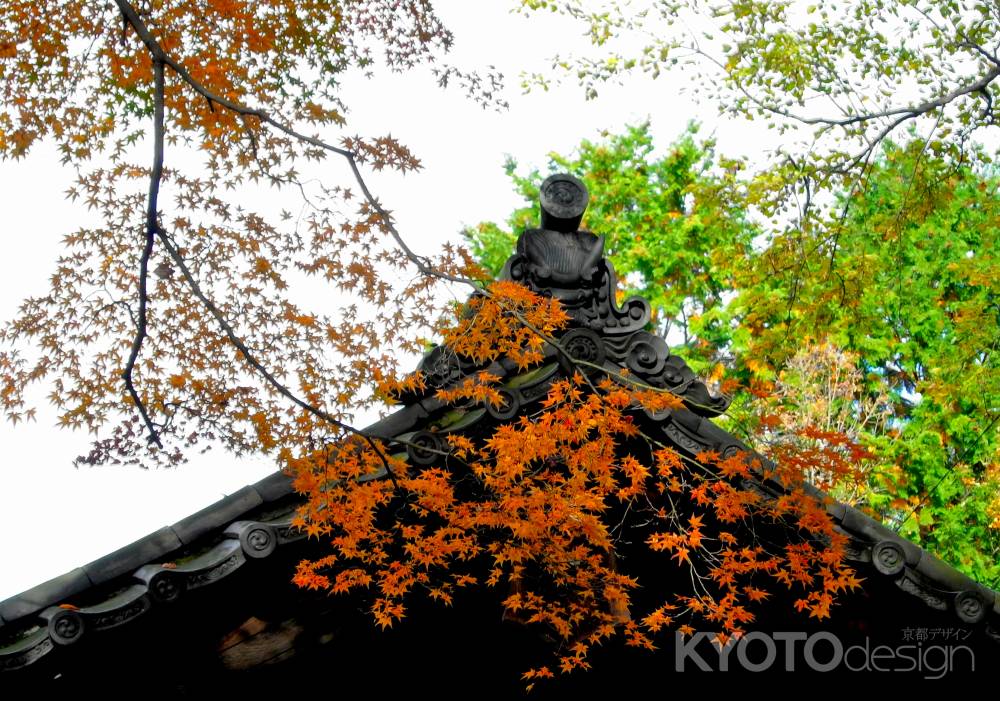 東福寺紅葉2013⑭