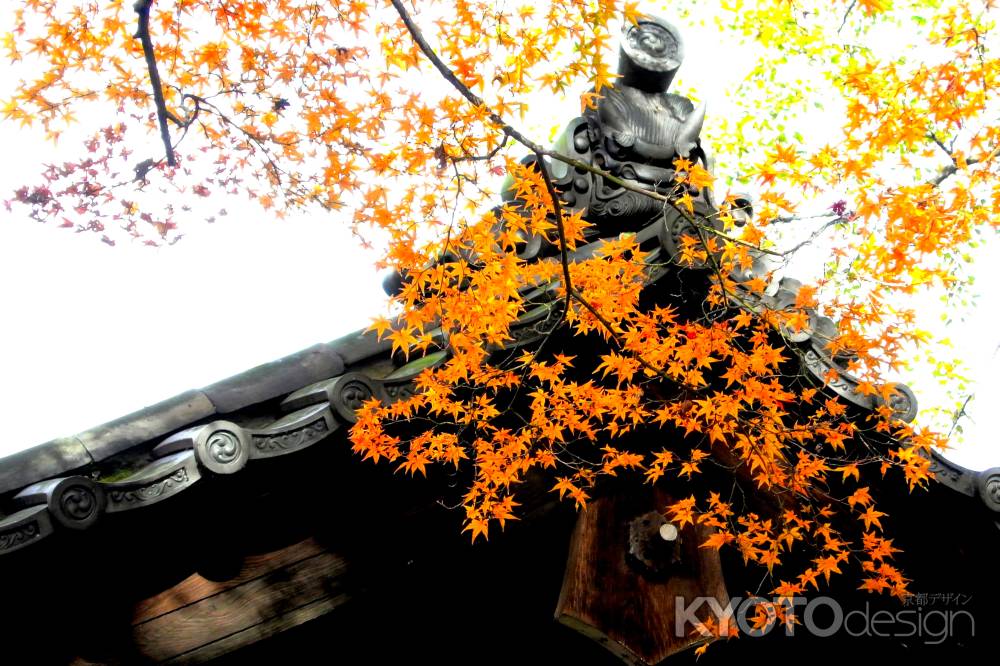 東福寺紅葉2013⑮