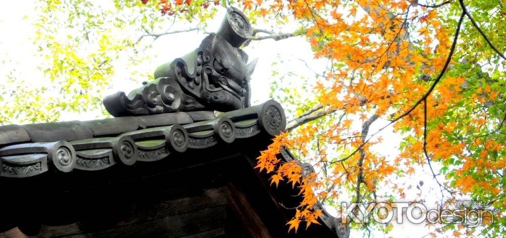 東福寺紅葉2013⑯