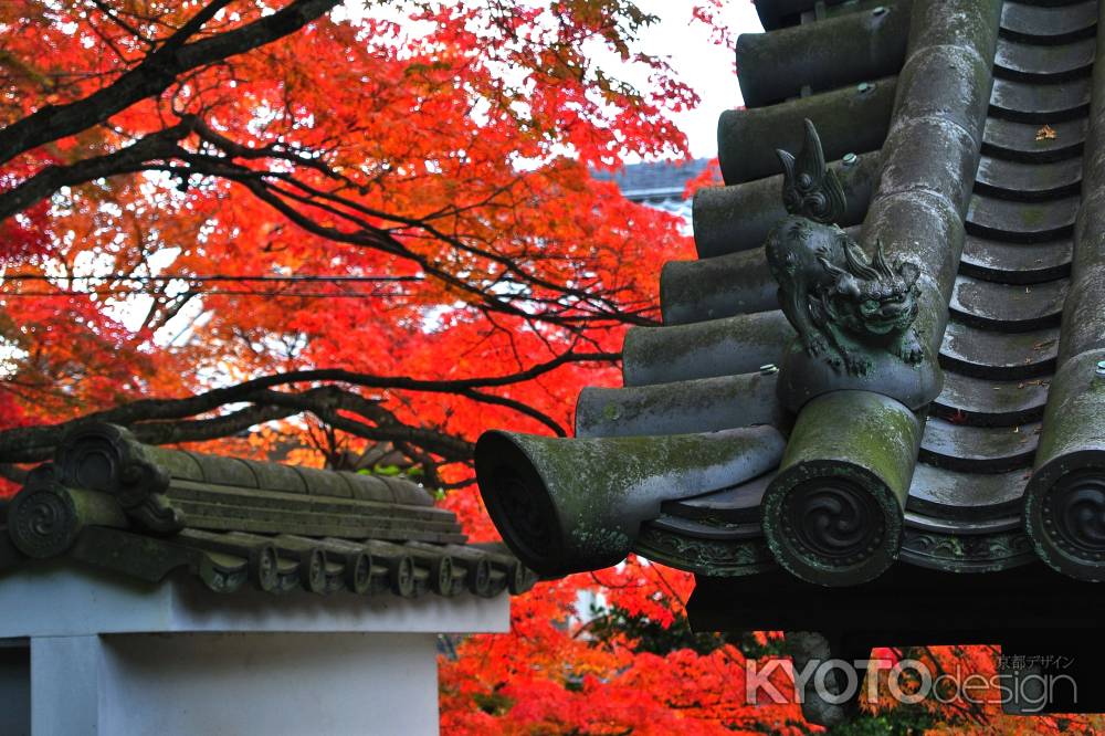 東福寺紅葉2013⑱