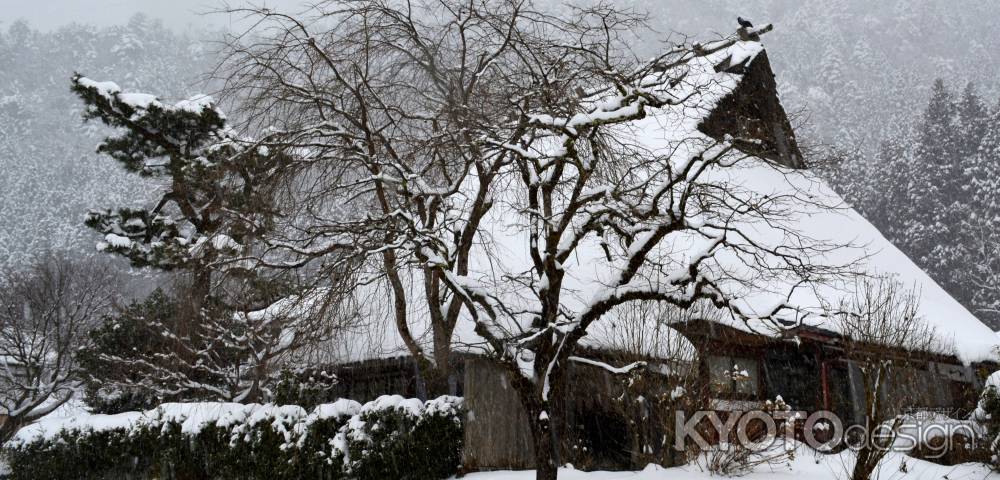 美山雪2015④