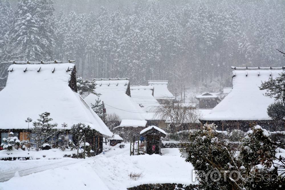 美山雪2015⑥