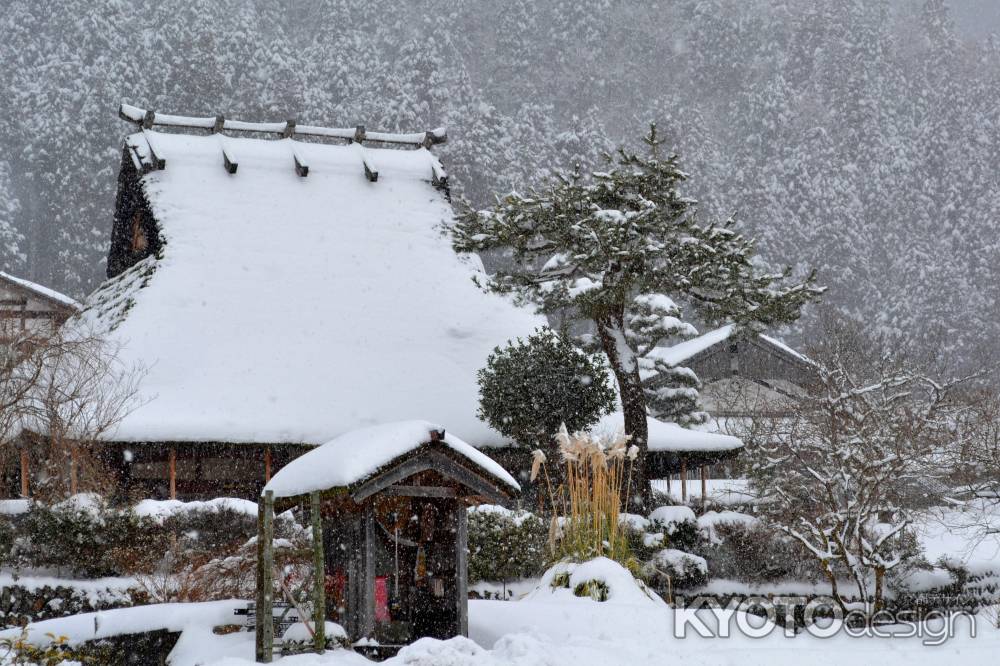 美山雪2015⑦